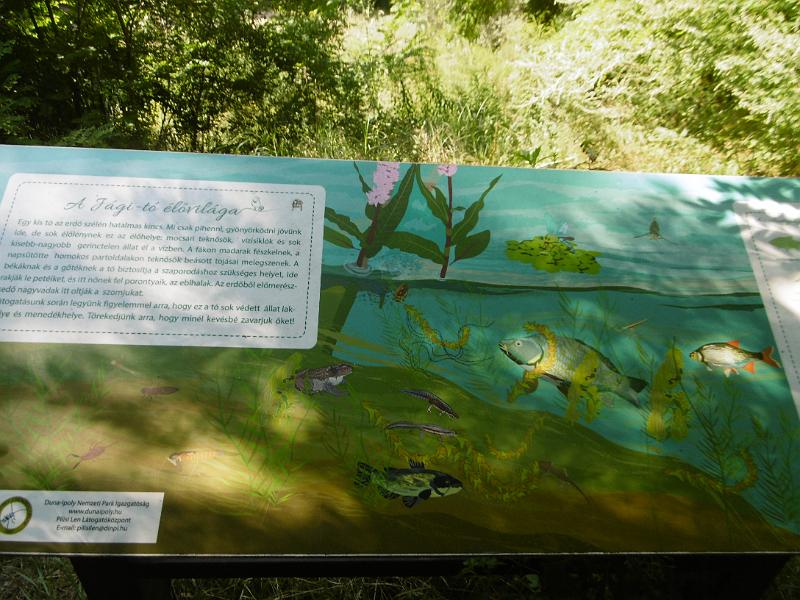 P1080603.JPG