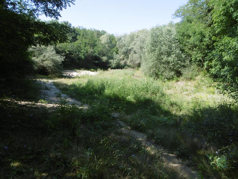 P1080604.JPG
