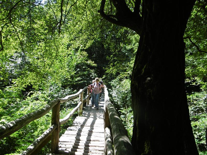 P1080605.JPG