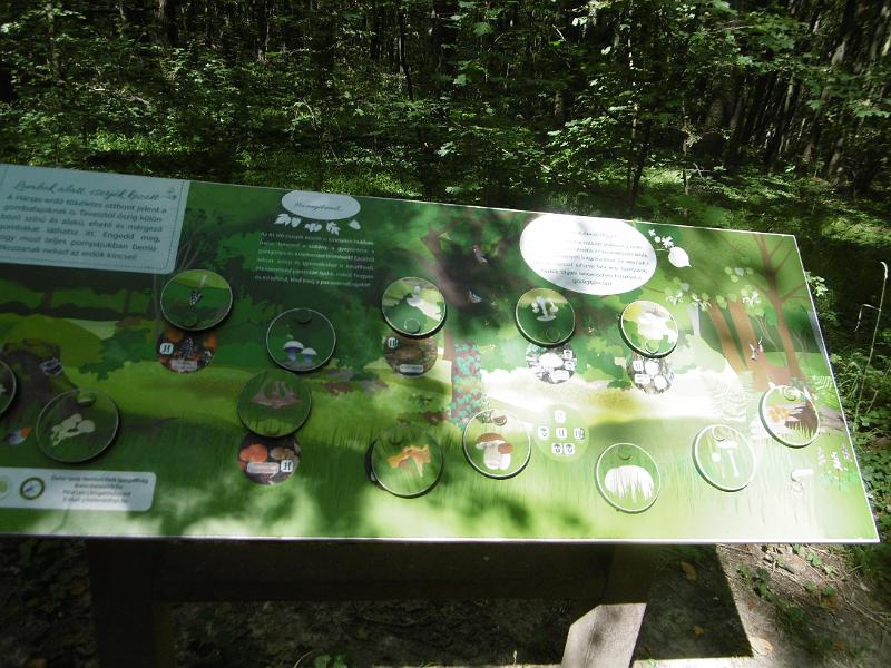 P1080616.JPG