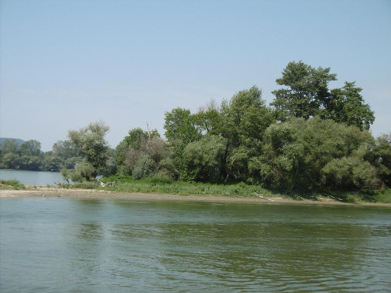 P1080661.JPG