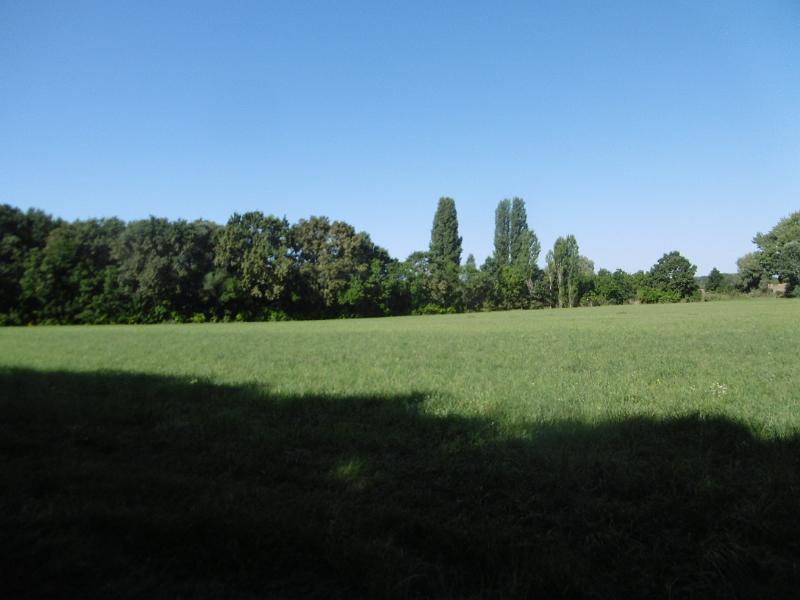 P1080681.JPG