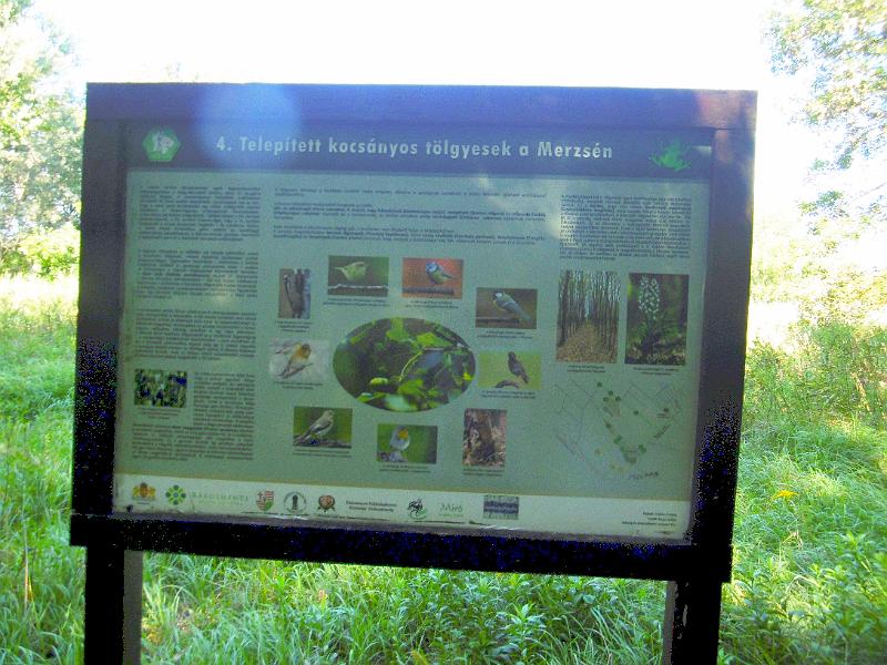 P1080690-1.jpg