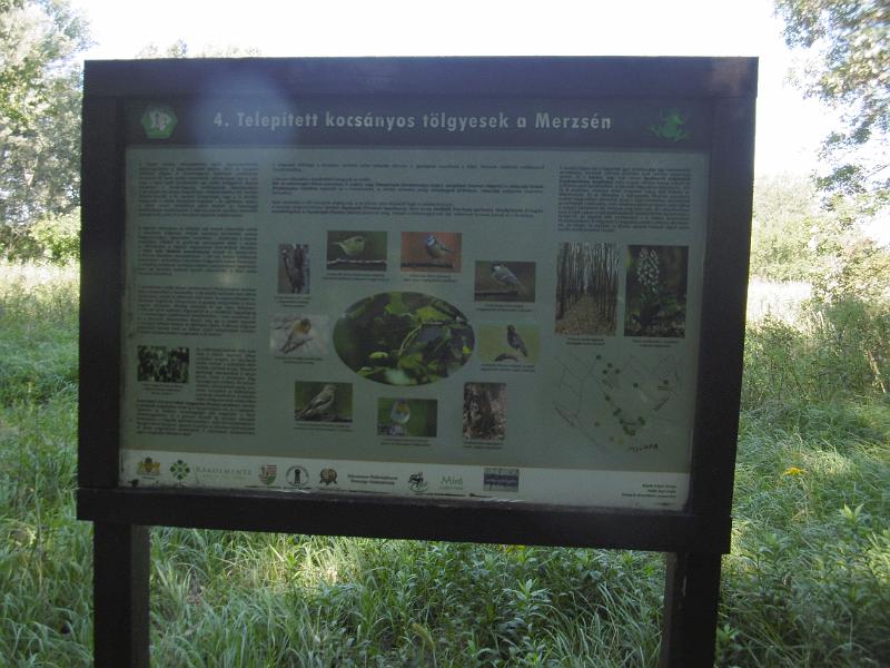 P1080691-2.jpg