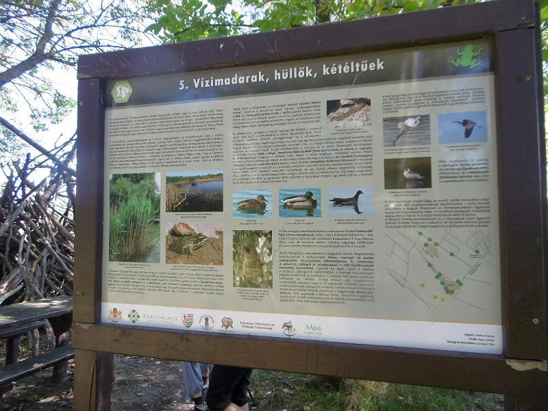 P1080695-2.jpg