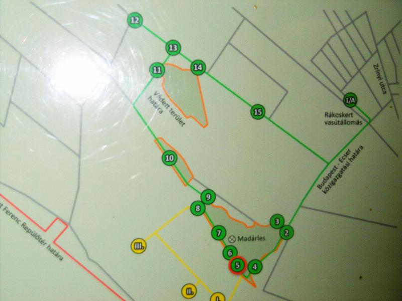 P1080696-1.jpg