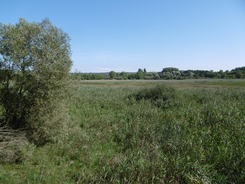P1080699.JPG