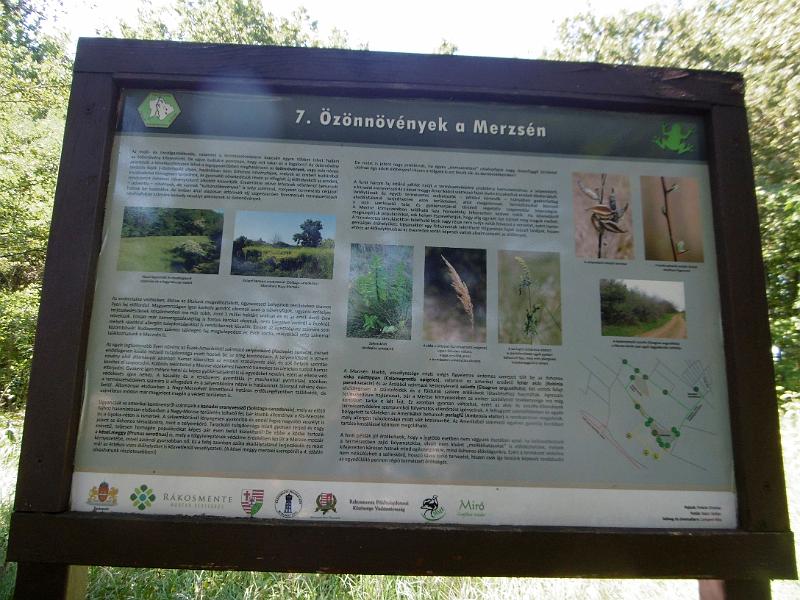 P1080704-1.jpg