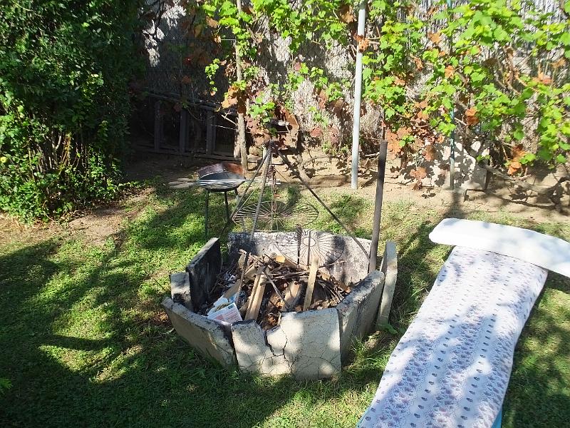 DSCF3511.JPG
