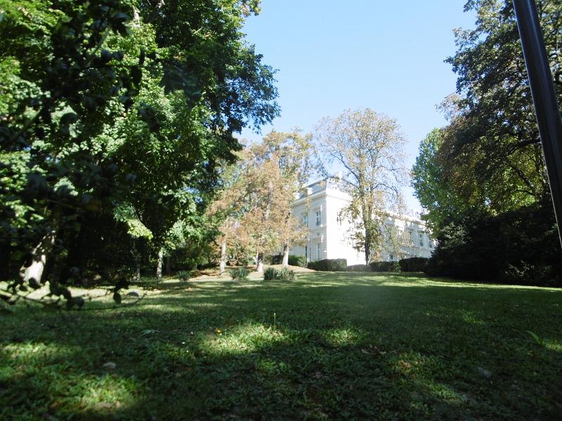 P1080741.JPG