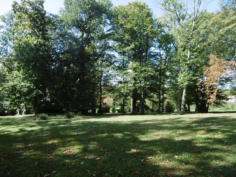 P1080742.JPG