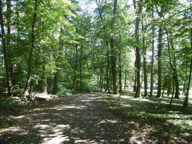 P1080755.JPG