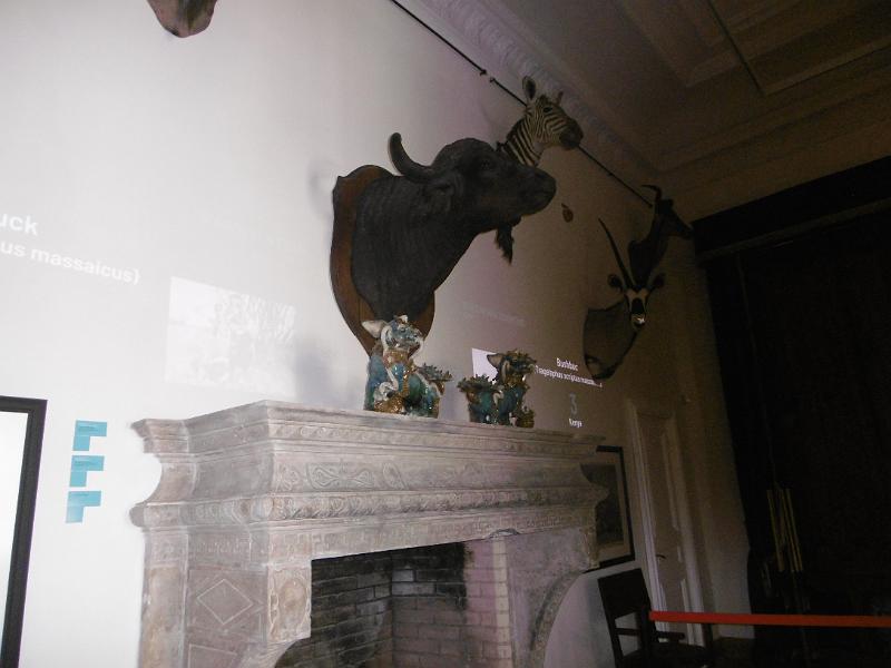 P1080791.JPG