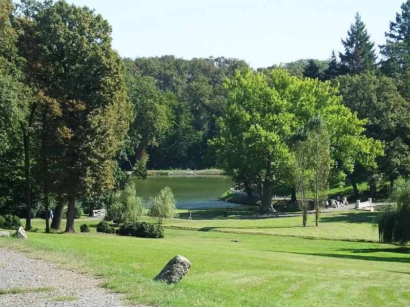 DSCF3528.JPG