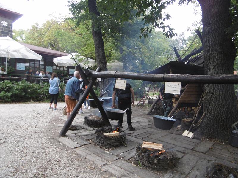 P1080855.JPG