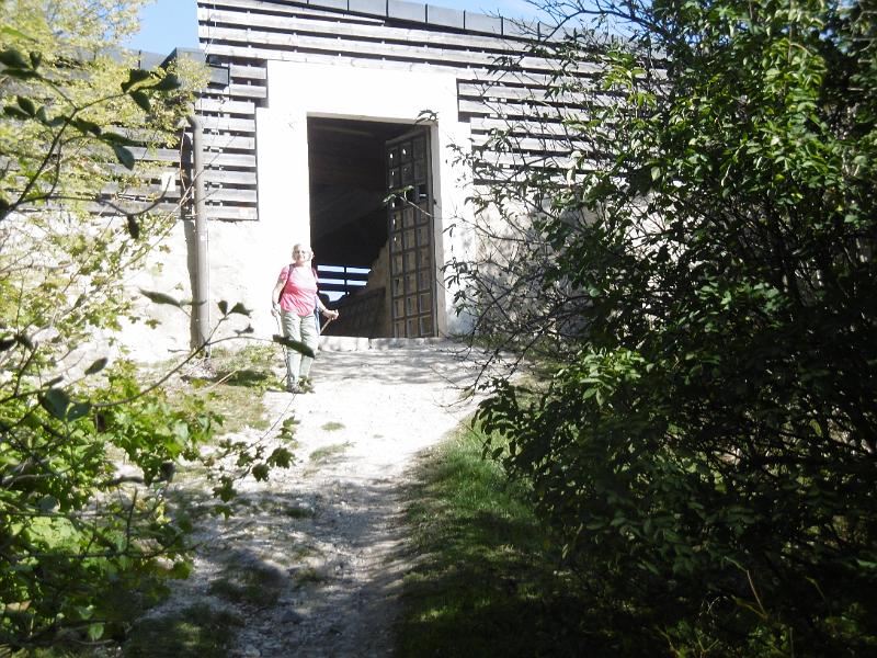 P1080882.JPG