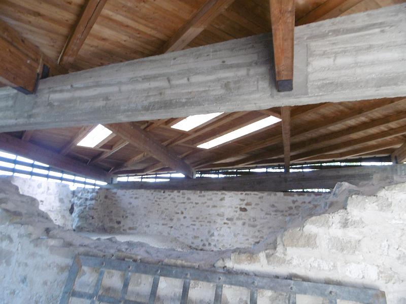 P1080891.JPG