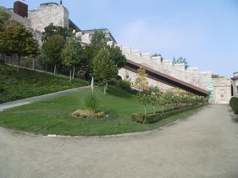 P1080901.JPG
