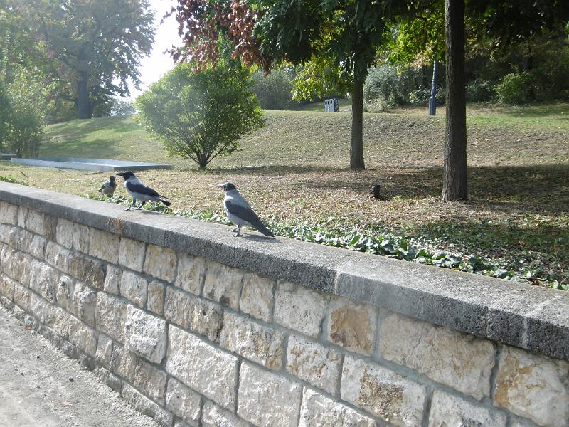 P1080915.JPG