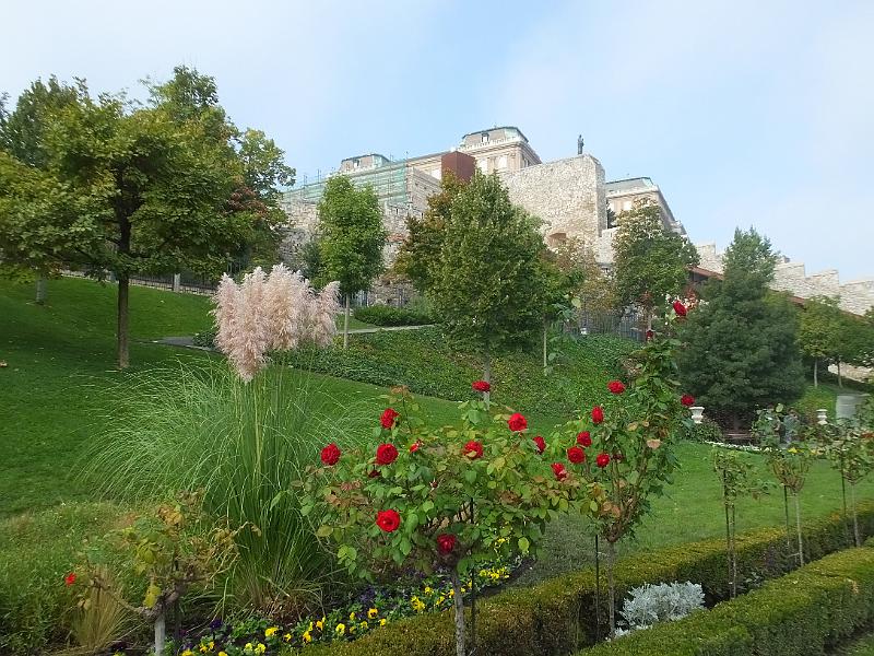 DSCF3574.JPG