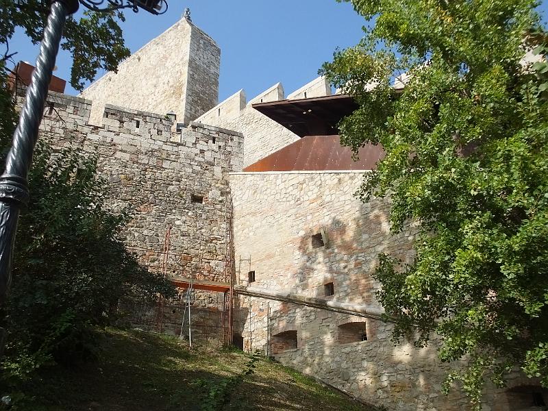 DSCF3580.JPG