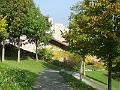 DSCF3579