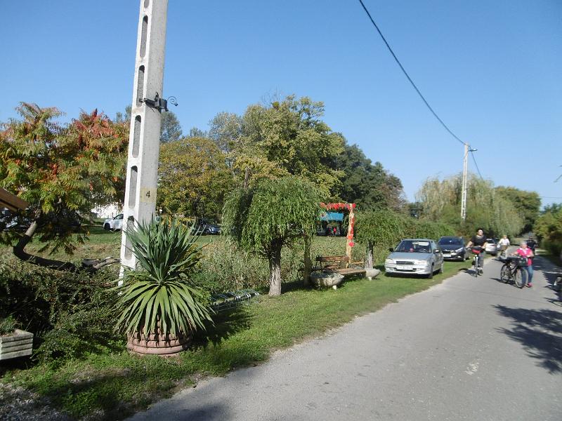 P1080924.JPG