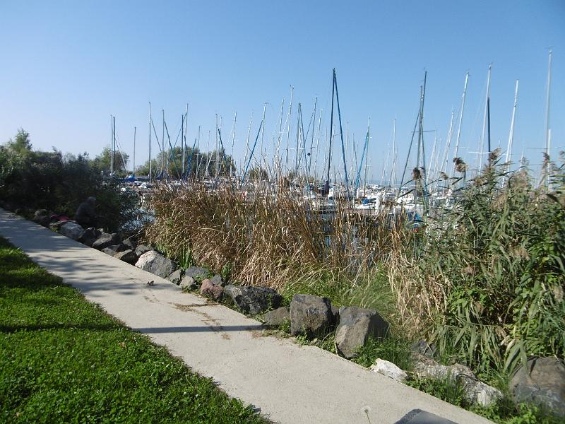 P1080934.JPG