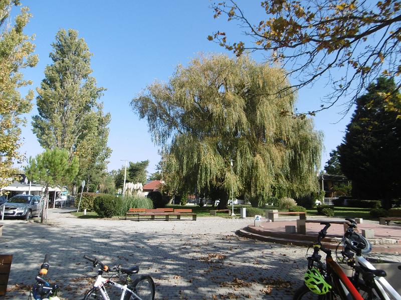 P1080940.JPG