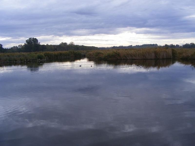 S01.jpg