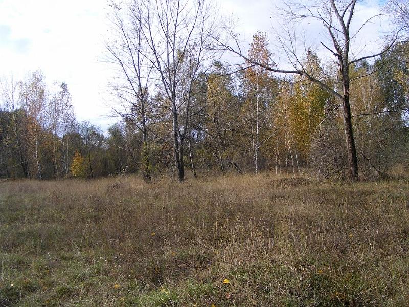 S11.jpg