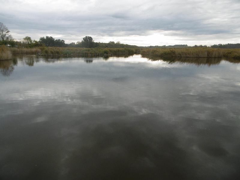 P1080969.JPG