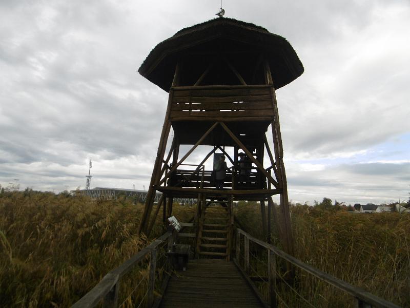 P1080976.JPG