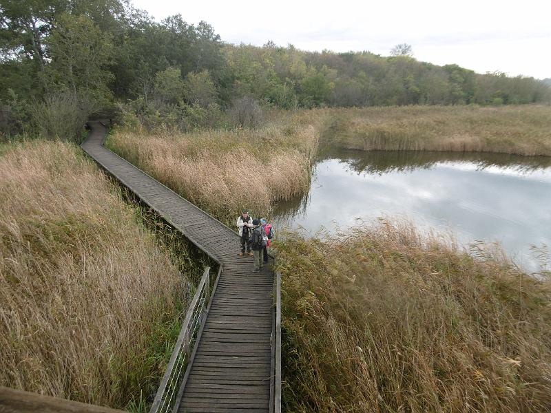 P1080981.JPG