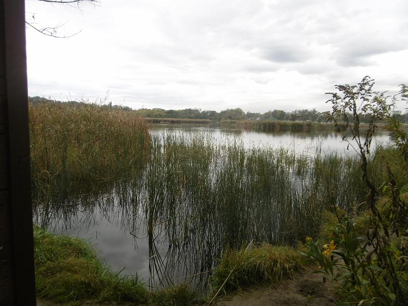 P1080983.JPG