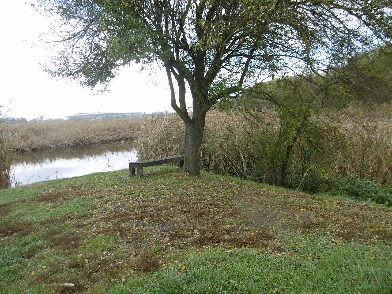 P1080984.JPG