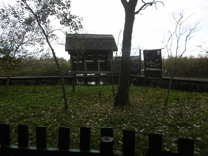 P1080985.JPG