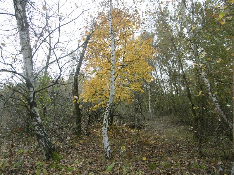 P1080991.JPG