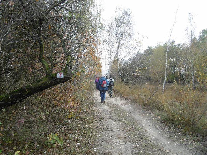 P1080992.JPG