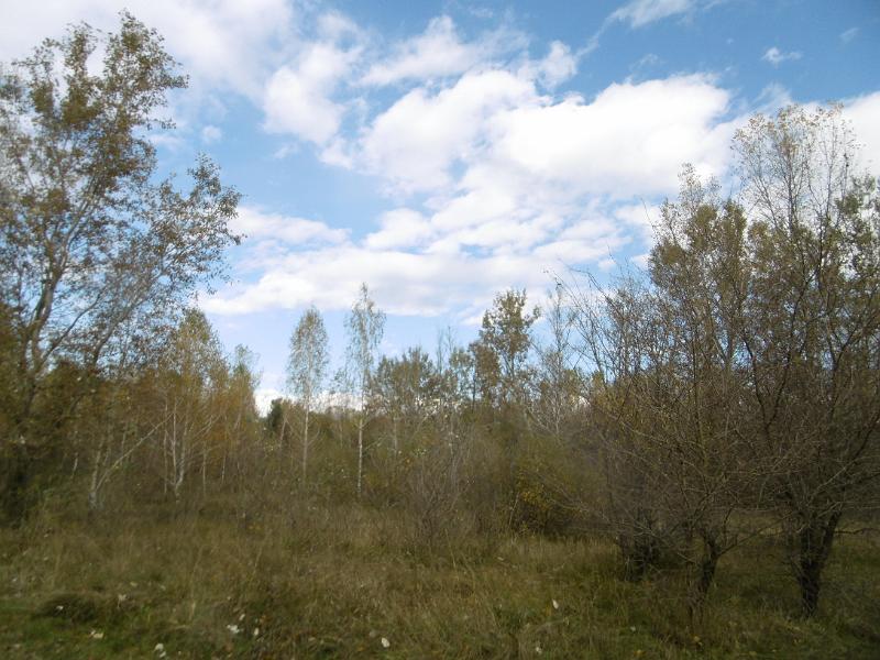 P1080993.JPG