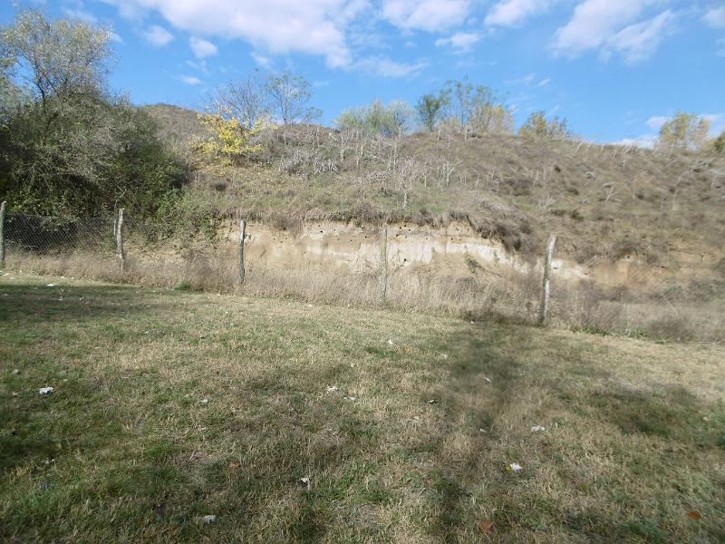 P1080994.JPG