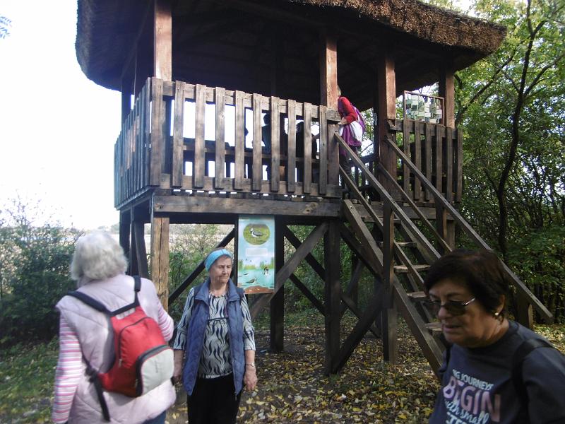 P1080996.JPG