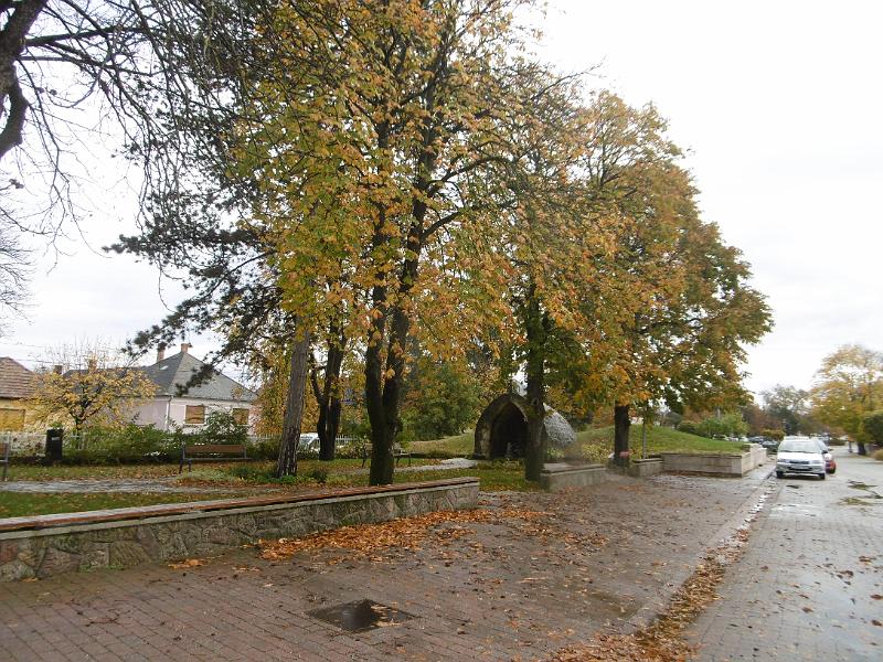 P1090004.JPG