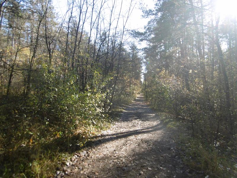P1090021.JPG