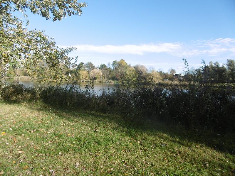 P1090032.JPG