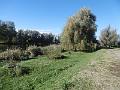 P1090028