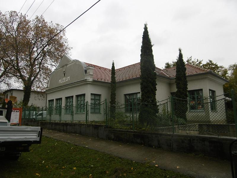 P1090038.JPG