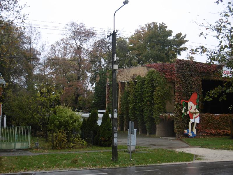 P1090041.JPG