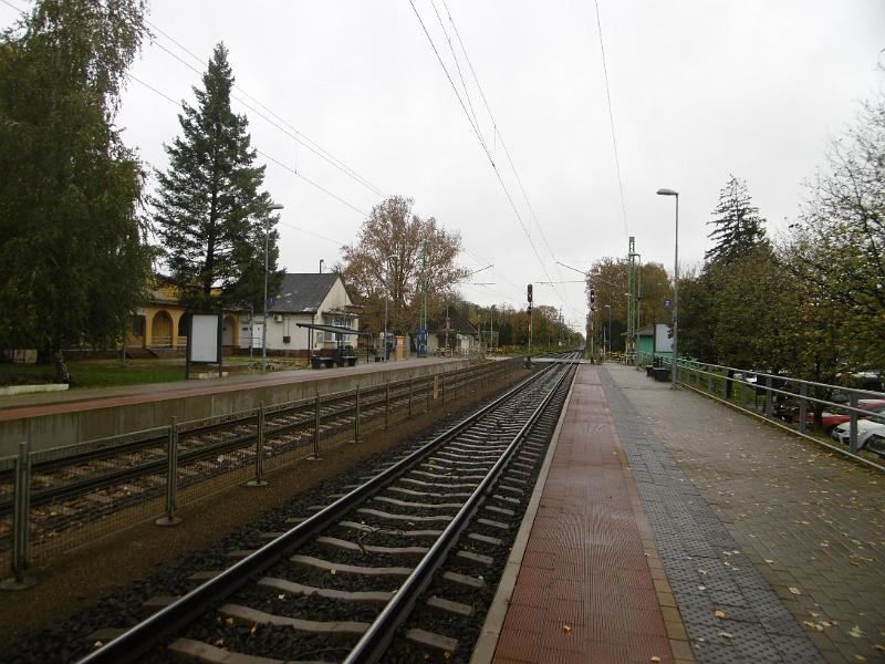 P1090046.JPG