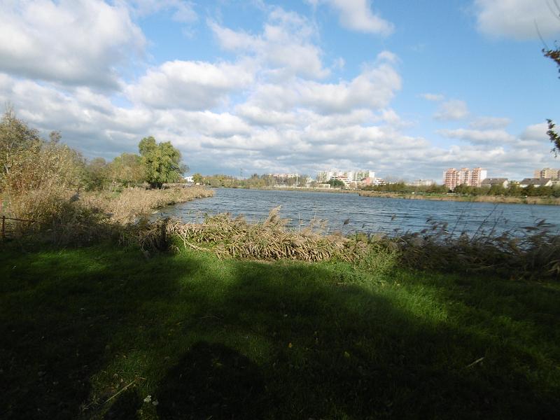 P1090063.JPG